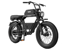 Electric Bikes