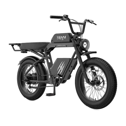 Electric bikes